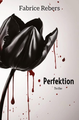 Perfektion fabrice rebers - perfektion,
