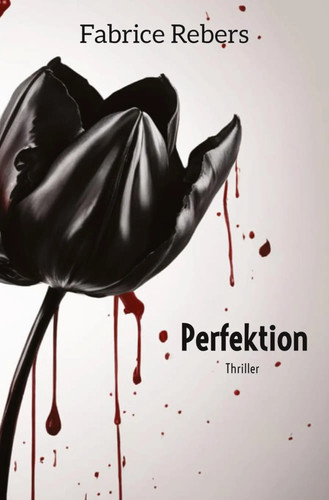 Fabrice rebers perfektion - rebers, |